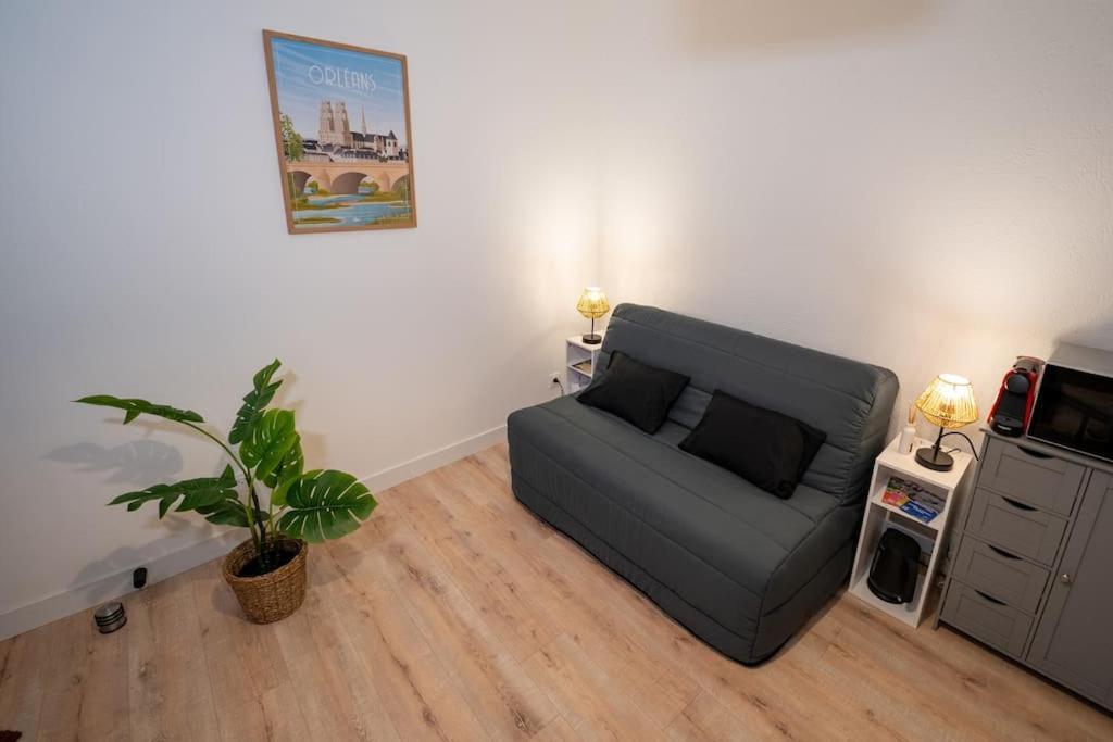 Studio Du Puits Hyper Centre 올리언스 외부 사진