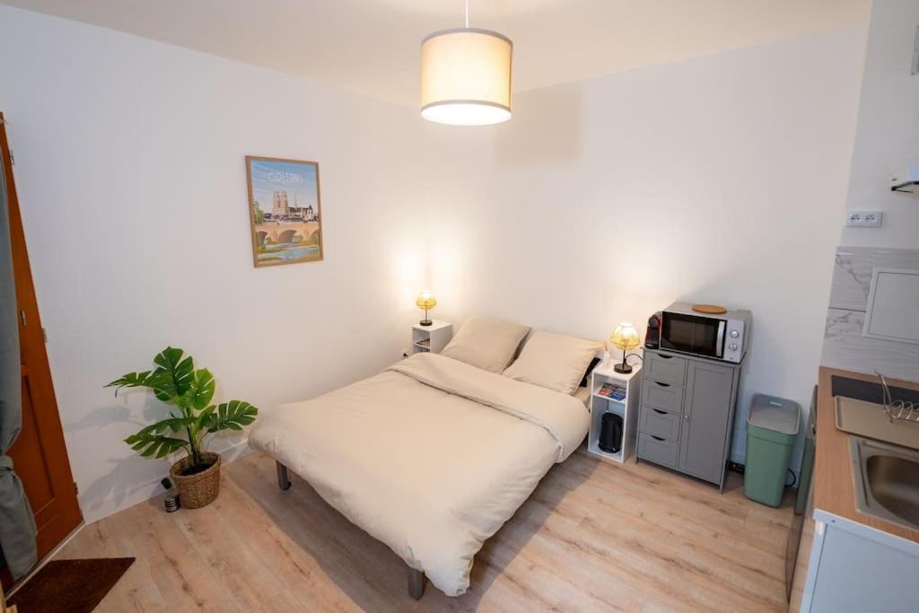 Studio Du Puits Hyper Centre 올리언스 외부 사진